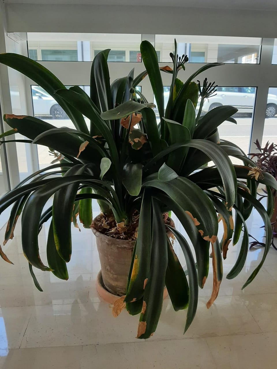 Al Teodorico Apartment in Ravenna