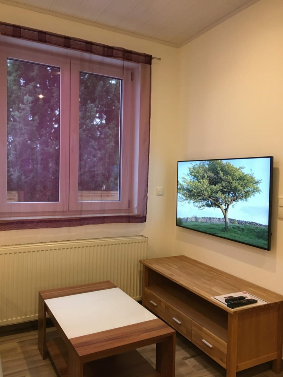 TV and multimedia