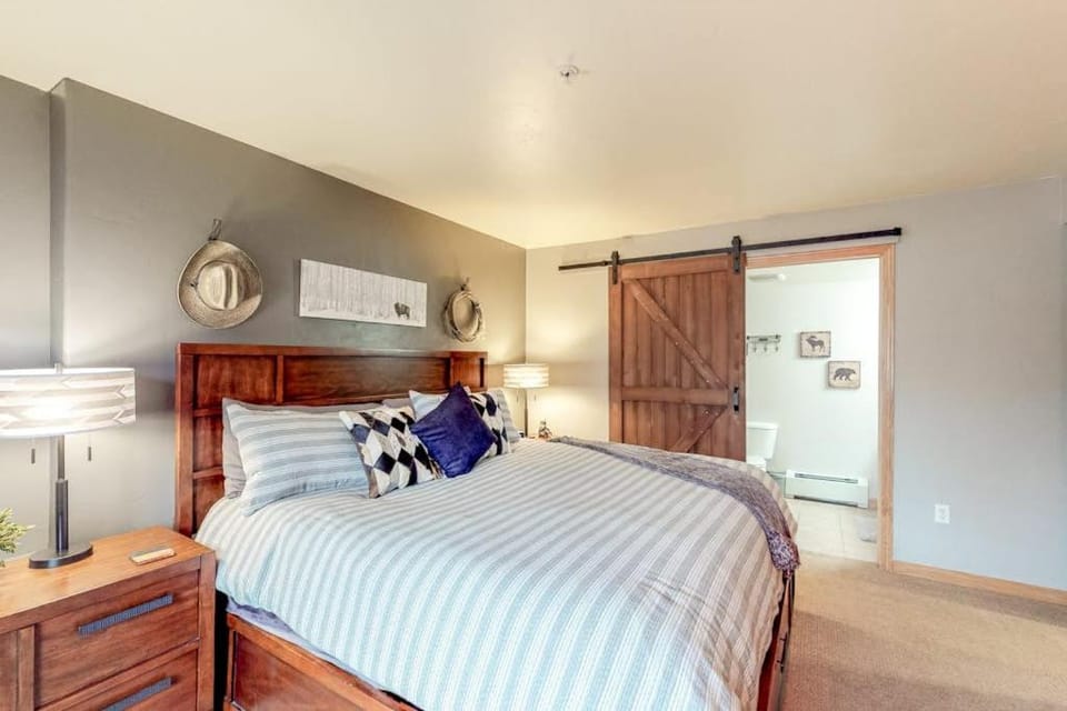 Skiscape Apartment in Steamboat Springs