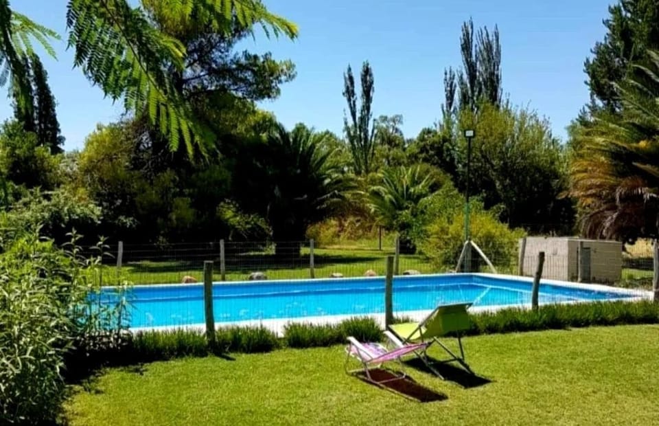 Day, Natural landscape, Garden, Garden view, Pool view, Swimming pool, sunbed