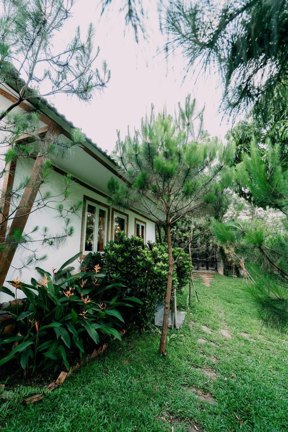 Garden view