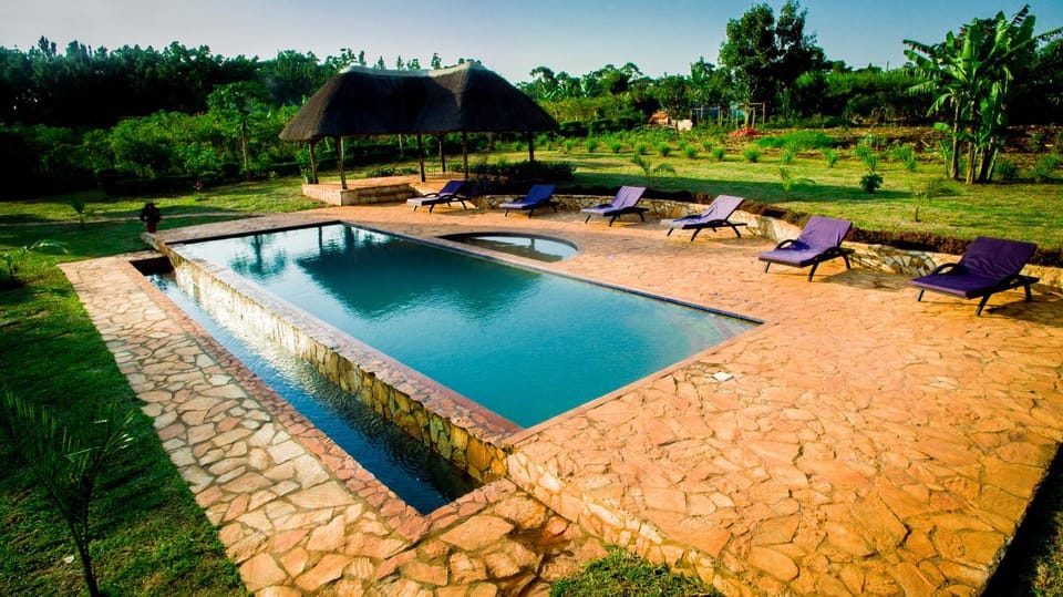 Pool view, Swimming pool, sunbed