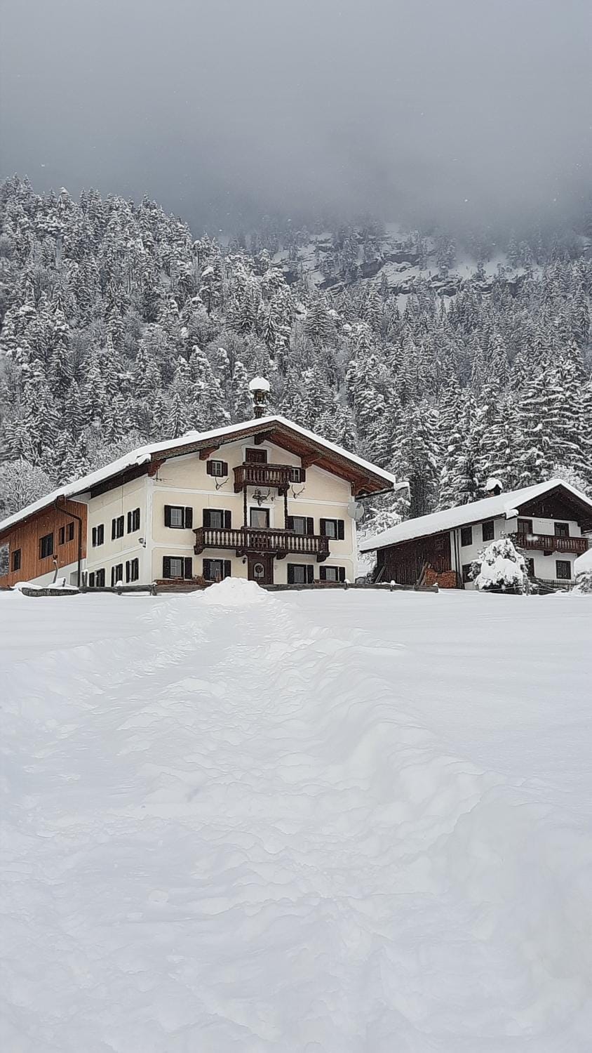 Property building, Winter