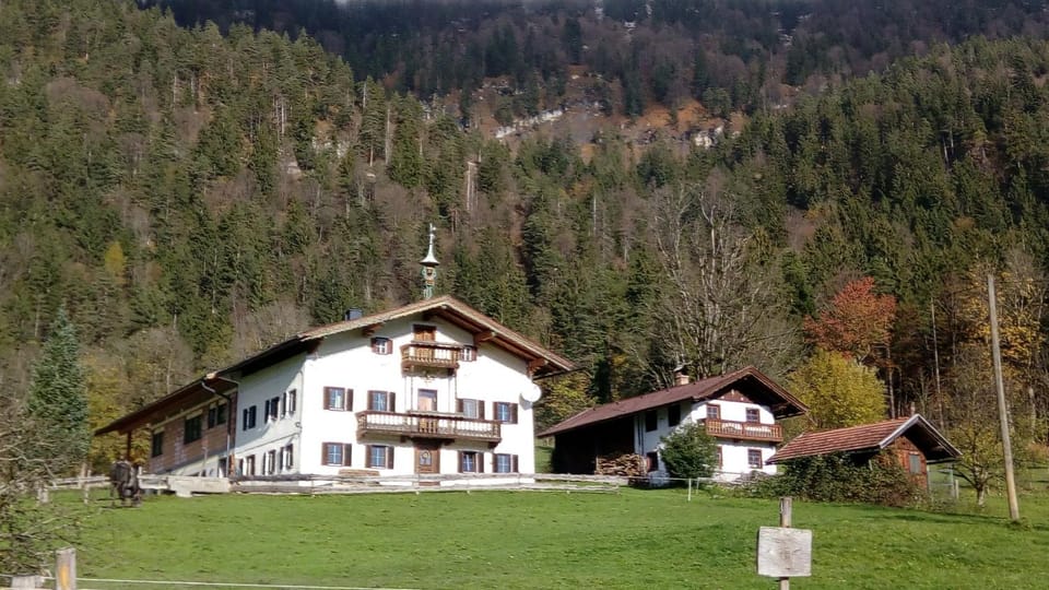 Property building, Garden