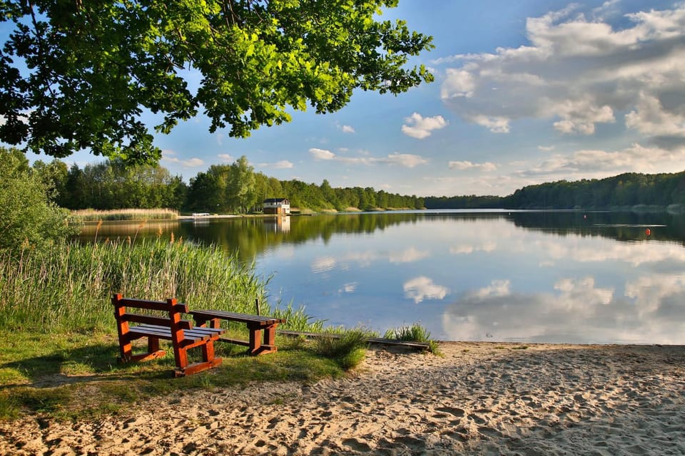 Lake view