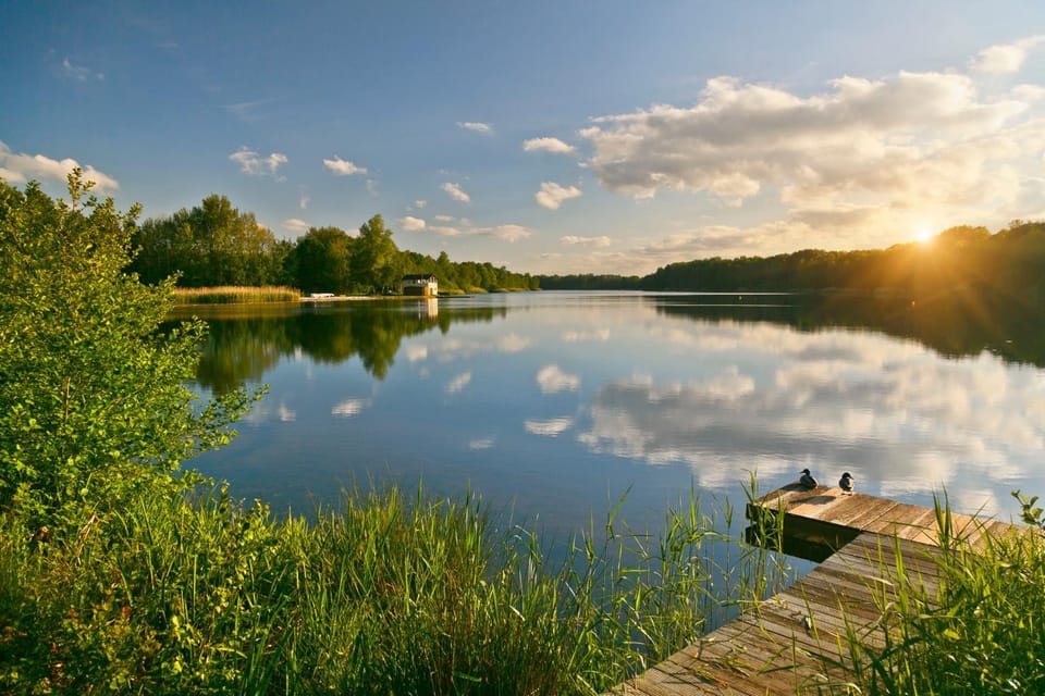Lake view