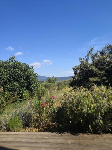 Balcony/Terrace, Garden view