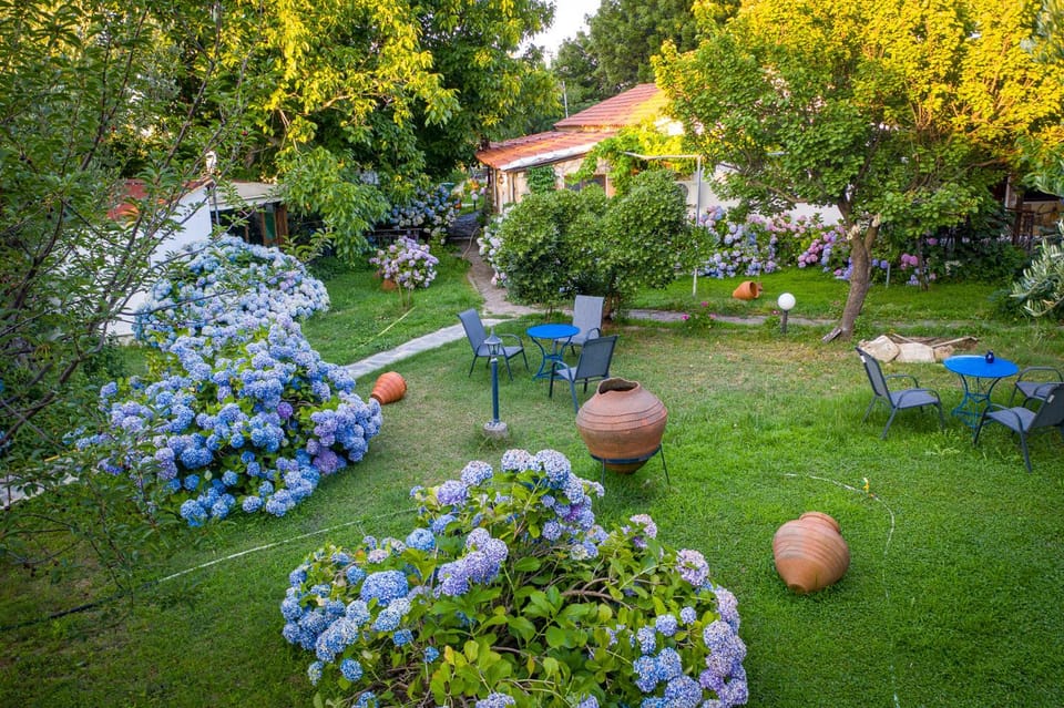 Spring, Garden, Garden view