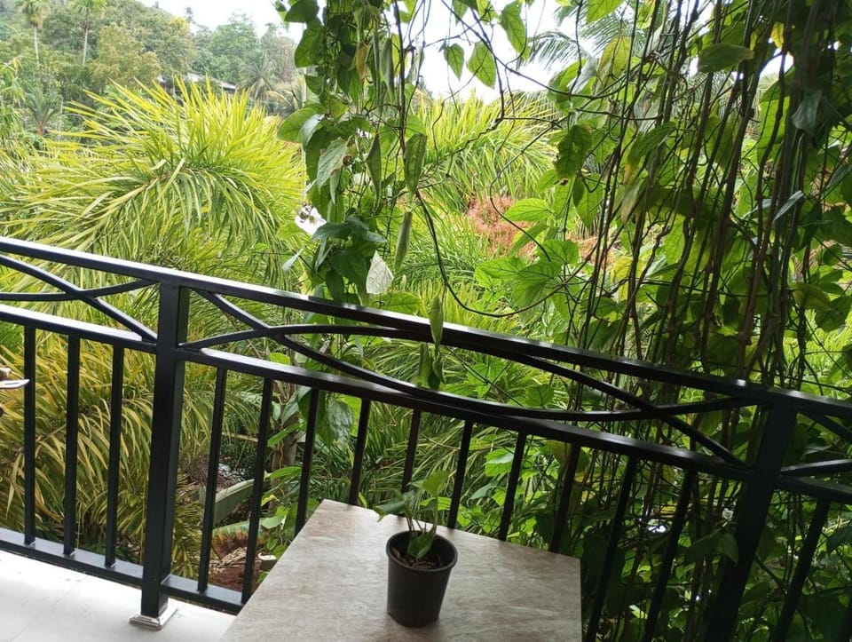View (from property/room)