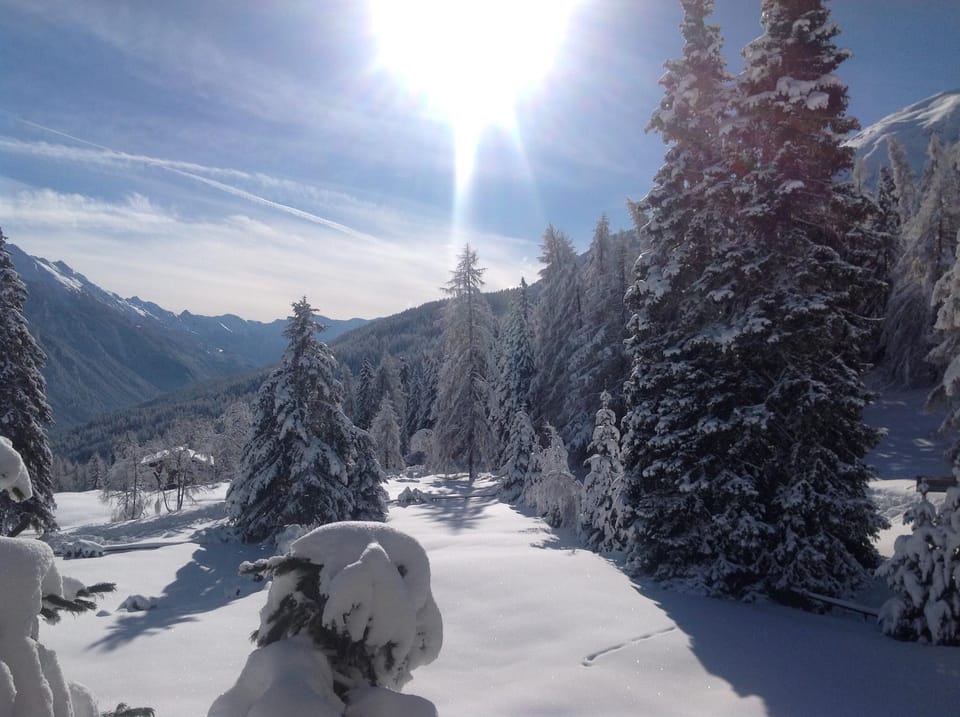 Albergo al Forte Hotel in Canton of Grisons