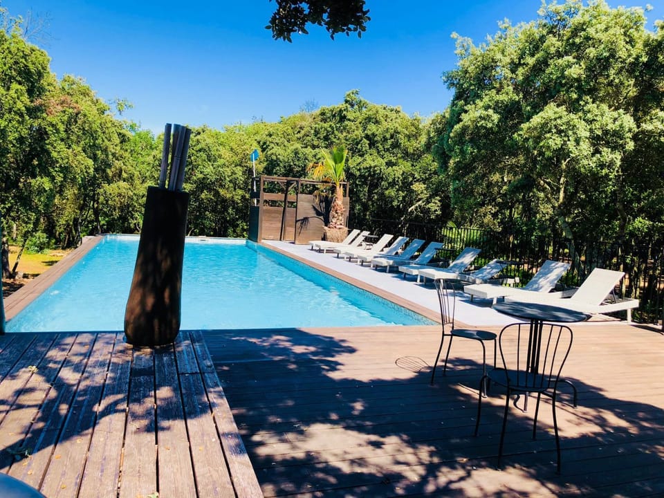 Day, Garden, Garden view, Pool view, Swimming pool, sunbed