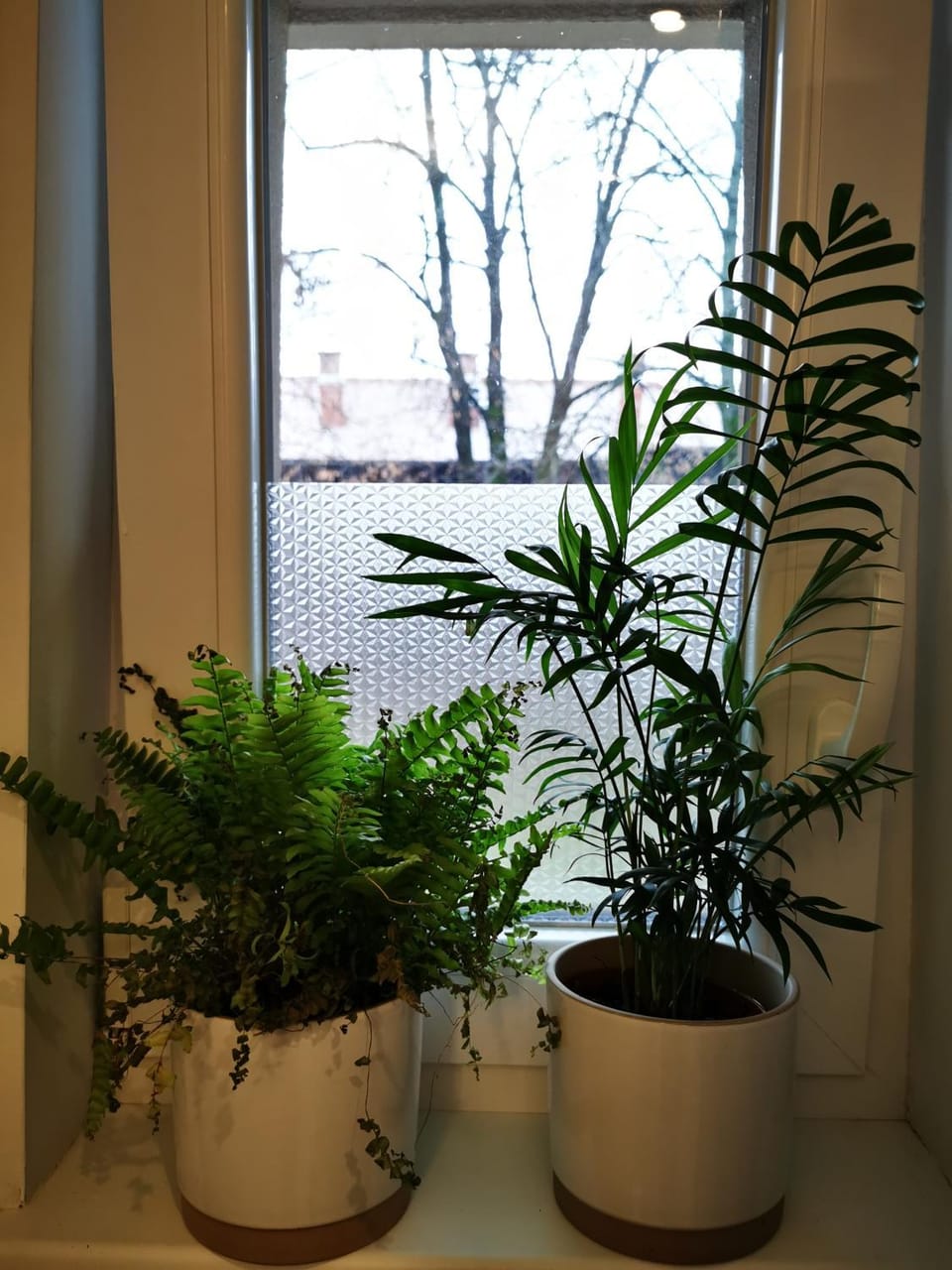 Bathroom, Garden view