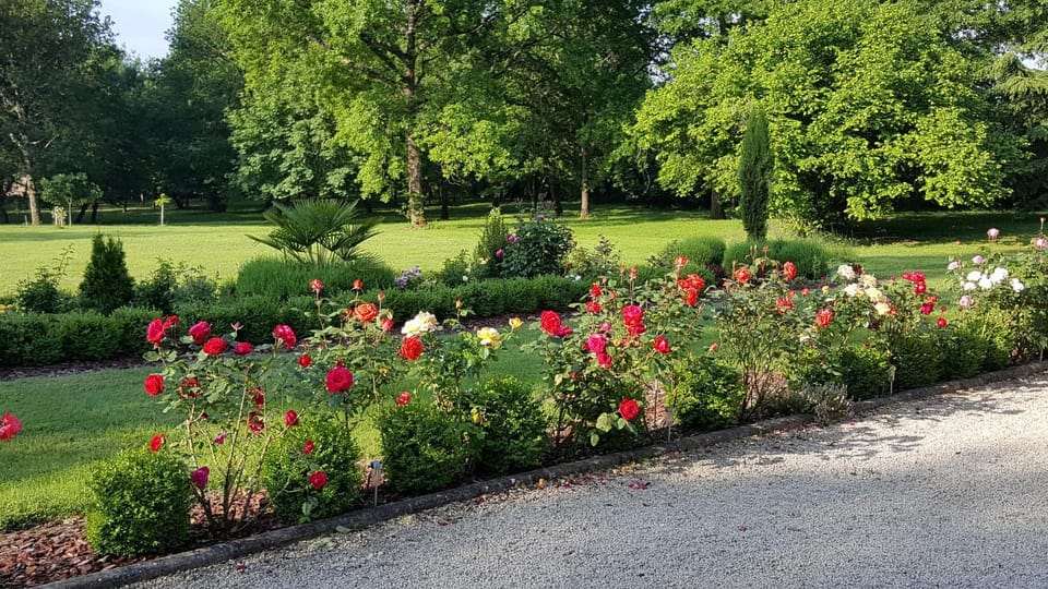 Garden, Garden view