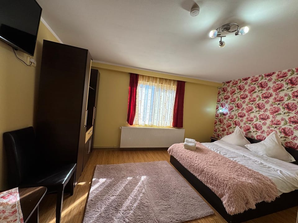 Pensiunea Dorali Bed and Breakfast in Brașov County