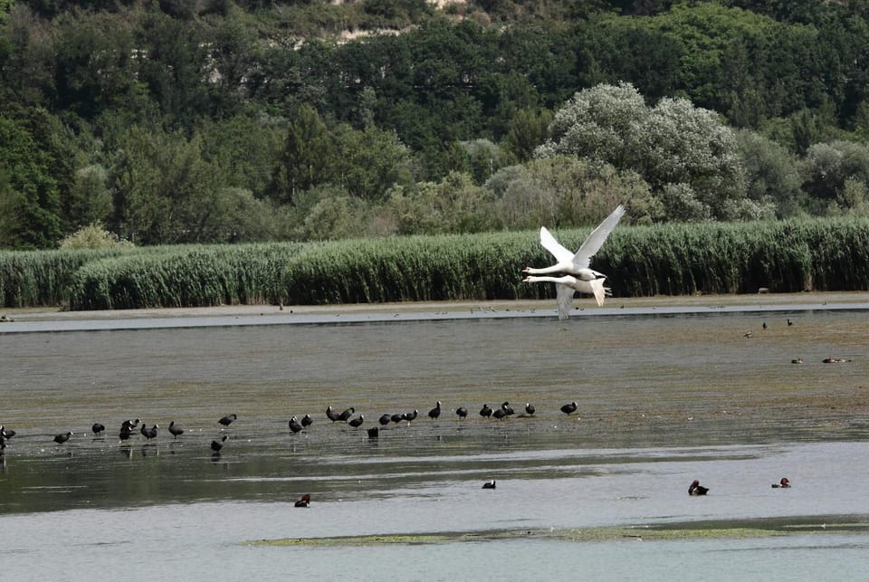 Natural landscape, Area and facilities