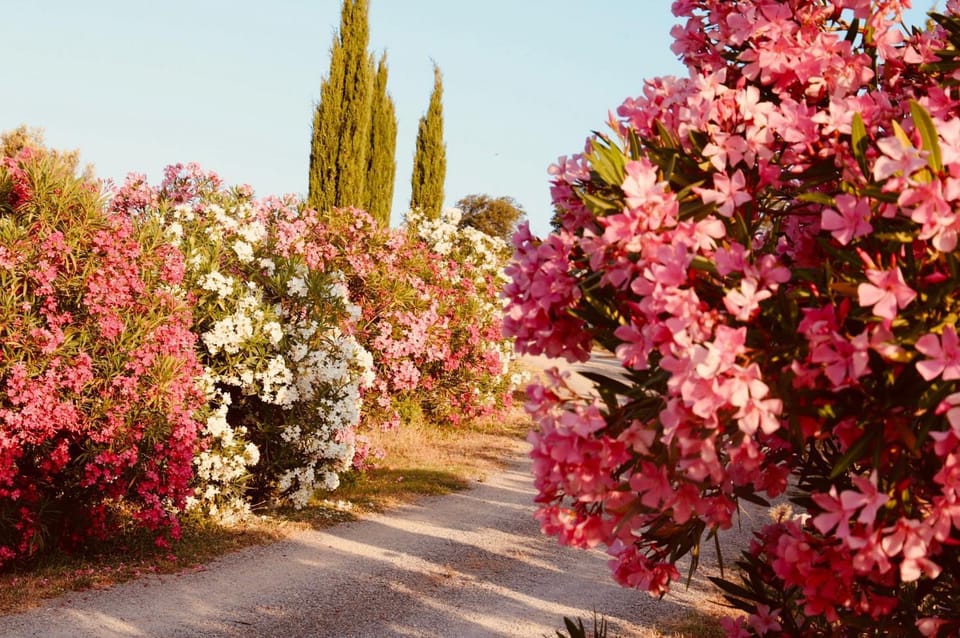 I Puntoni Agriturismo Farm Stay in Tuscany