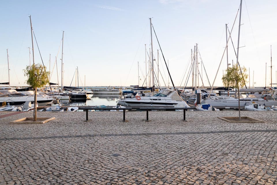 Natural landscape, Activities