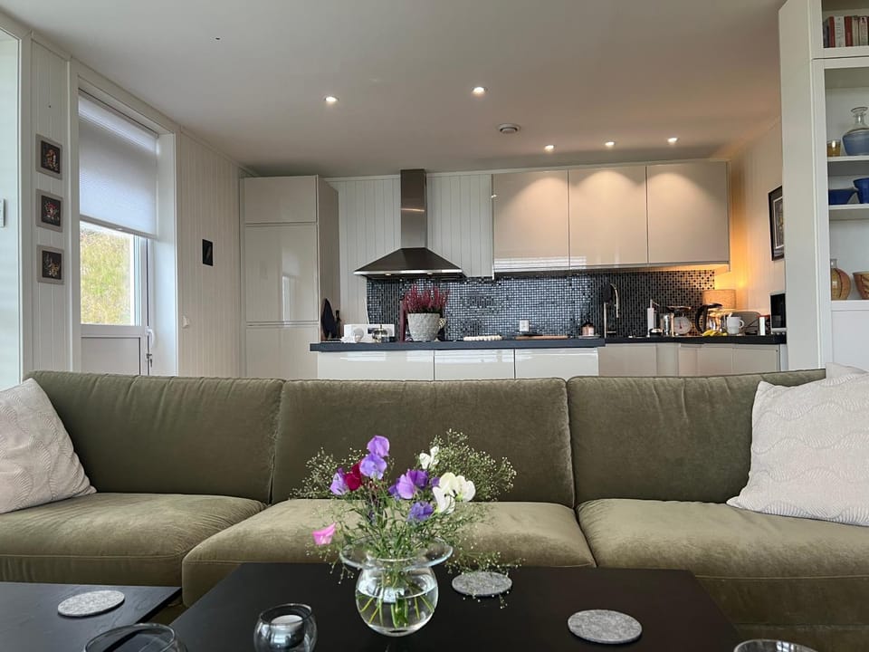 Living room, kitchen