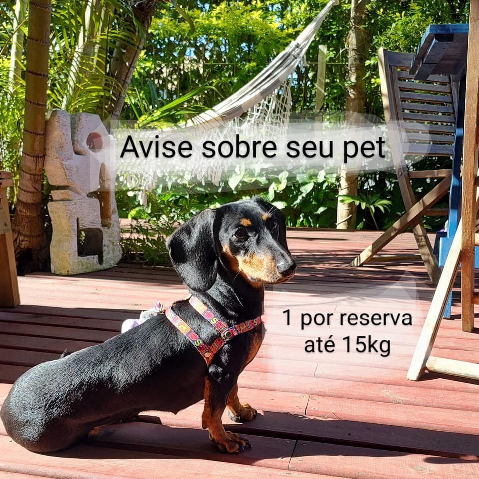 Pets