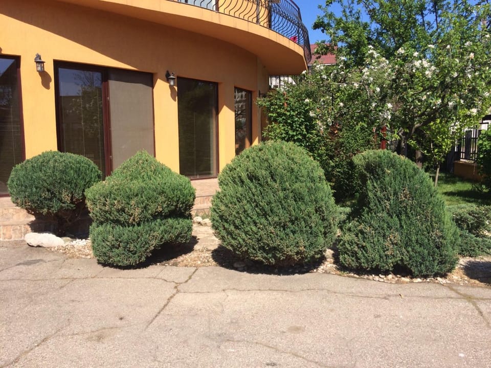 Vila Patricia Bed and Breakfast in Eforie Nord