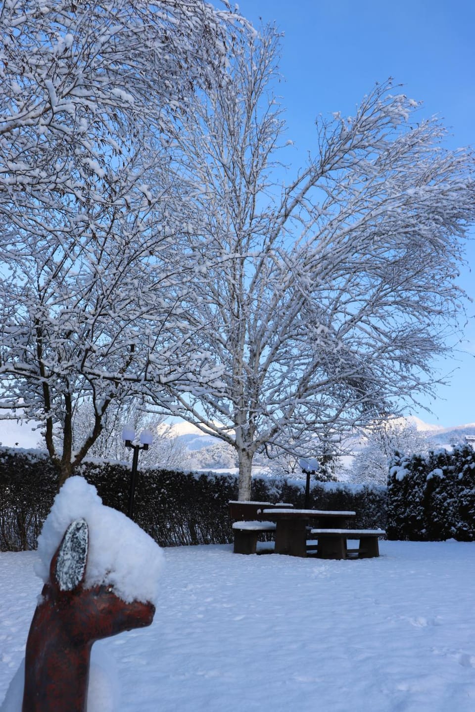 Winter, Garden