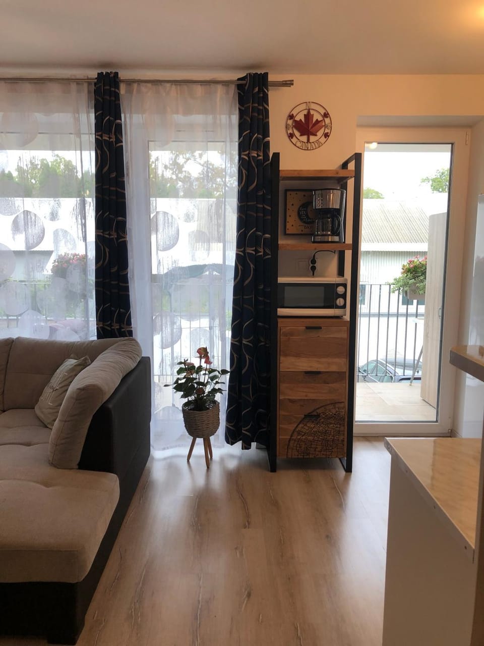 Living room, kitchen