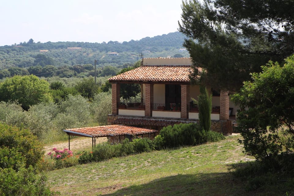 Property building, Garden, Garden view