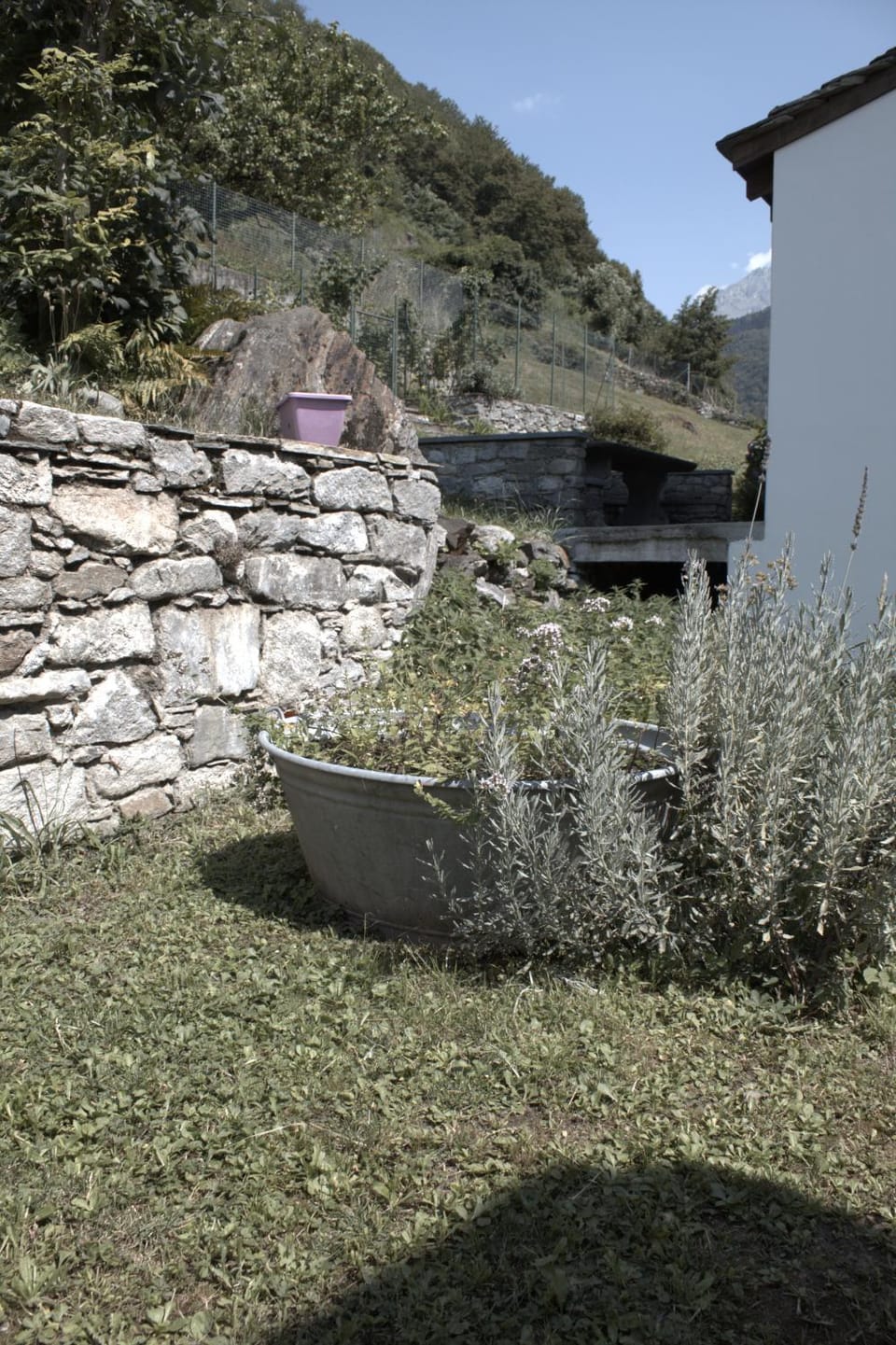 Garden, Garden