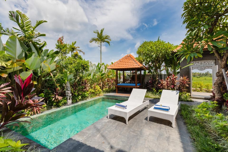Patio, Swimming pool, Swimming pool