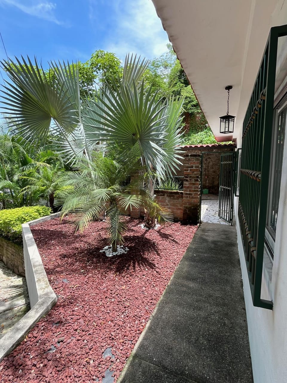 Day, Garden, Garden view