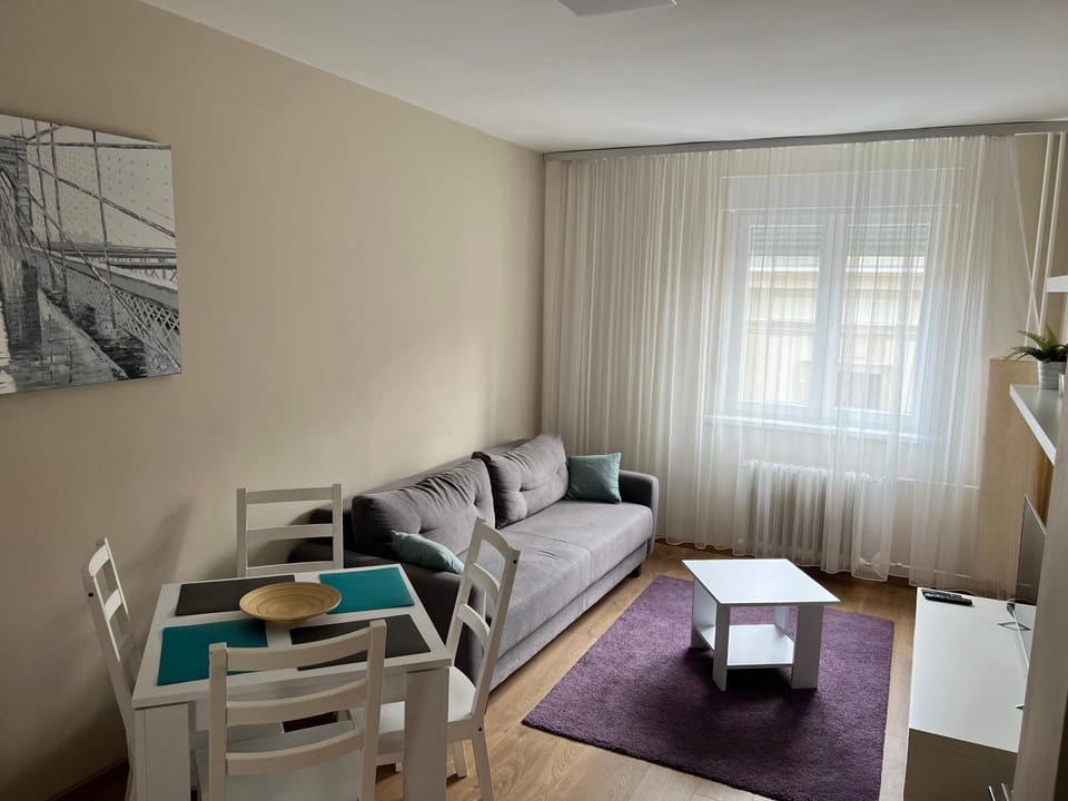 TD City Center Apartment Apartment in Belgrade