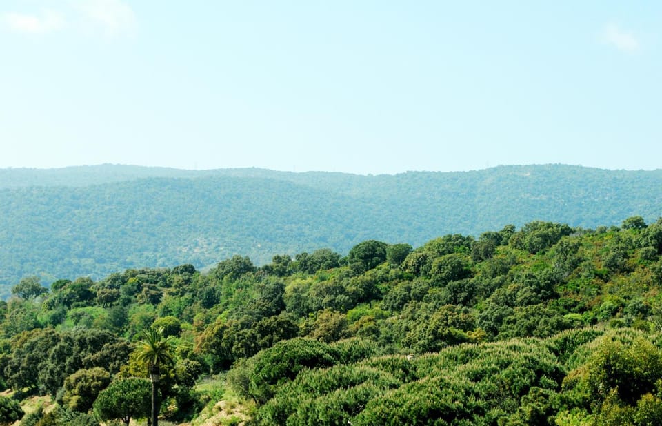 View (from property/room)