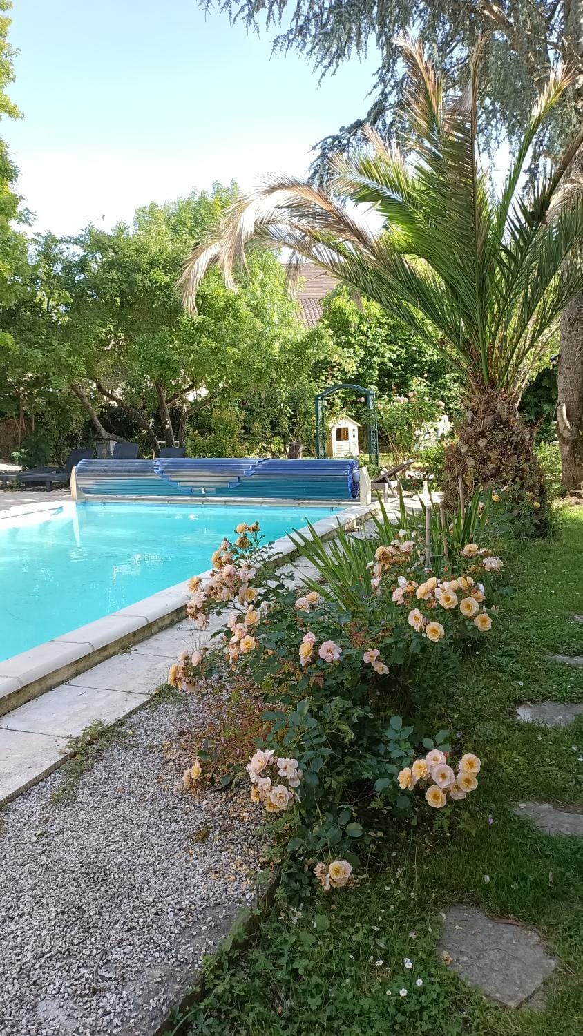 Spring, Day, Garden, Garden view, Pool view, Swimming pool
