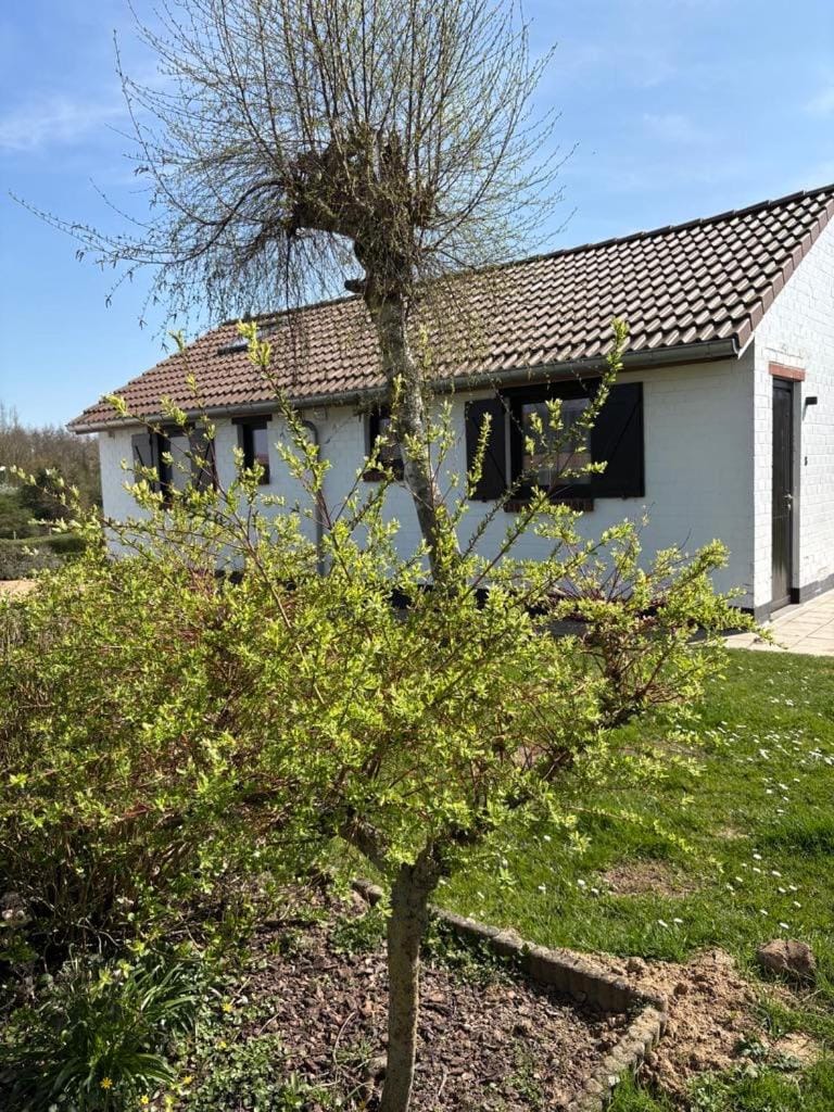 Mijn Kleinhof House in Flanders