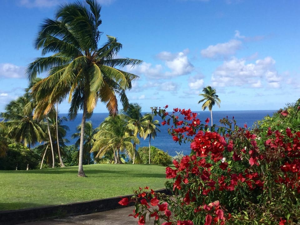 Garden view
