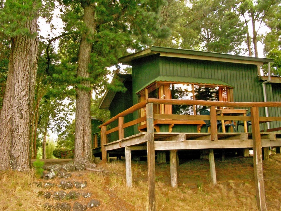 Cabañas Vista al Lago Apartment hotel in Los Lagos, Chile