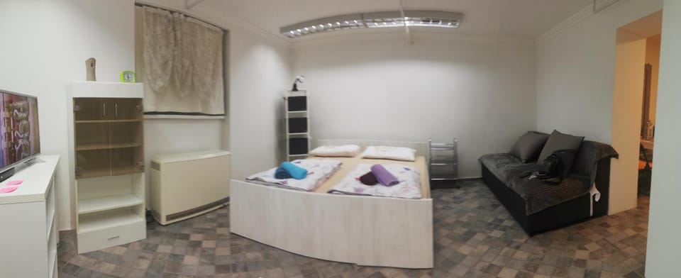 Bed, Living room, Photo of the whole room, Bedroom