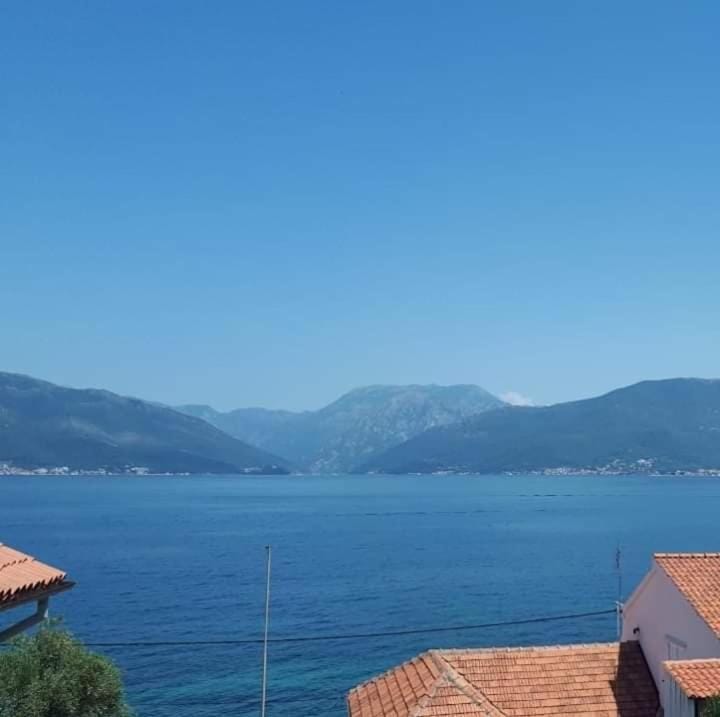 Sea View Penthouse Apartment in Kotor Municipality