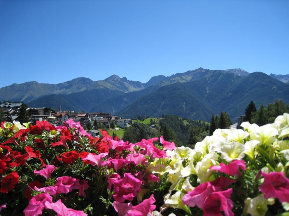 Summer, Garden view, Mountain view