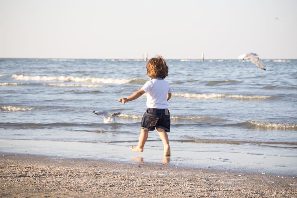 Beach, Family