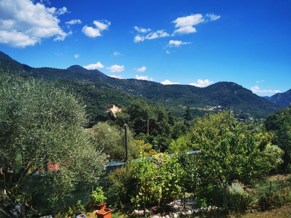 Mountain view
