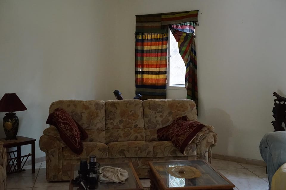 Living room, Decorative detail, Seating area