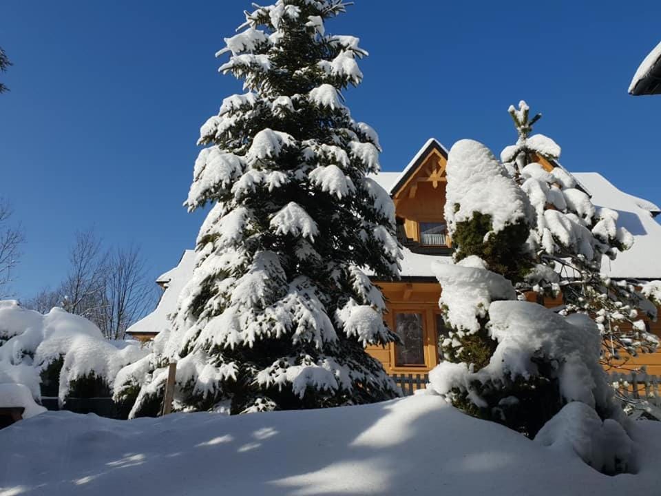 Domek Góralski Limba 1 Chalet in Zakopane