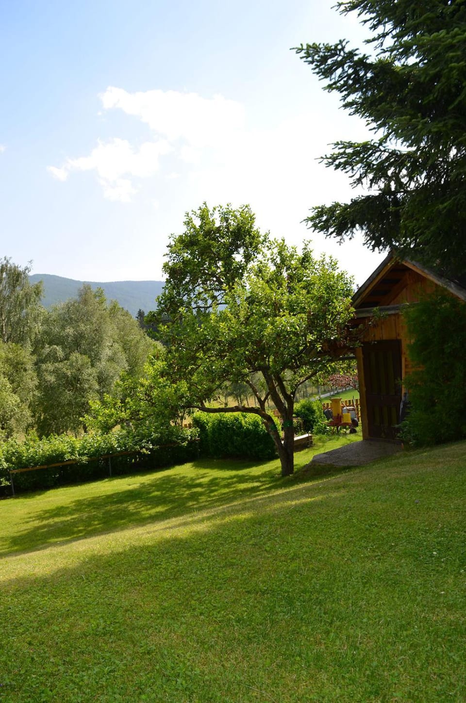 Garden view
