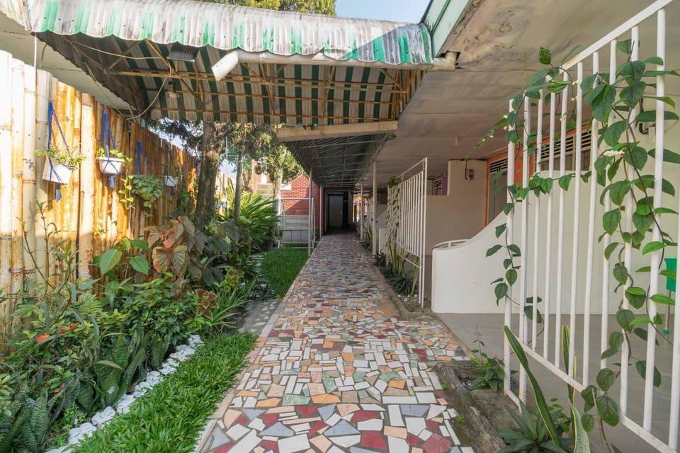 Patio, Facade/entrance, Garden