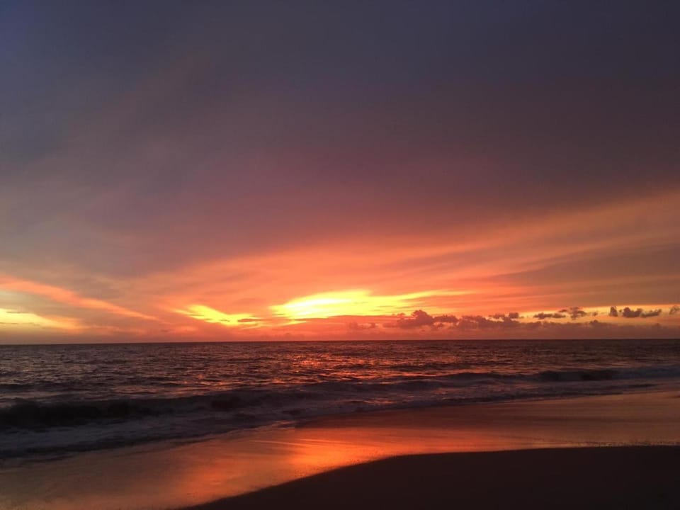 Lemon Dew Beach House, Alleppey Beach Resort in Alappuzha