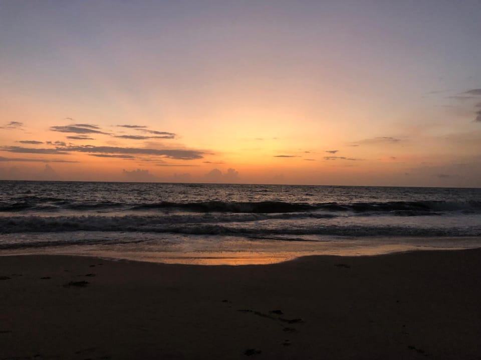 Natural landscape, Beach, Sunset
