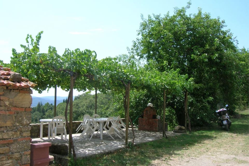 Patio, Garden