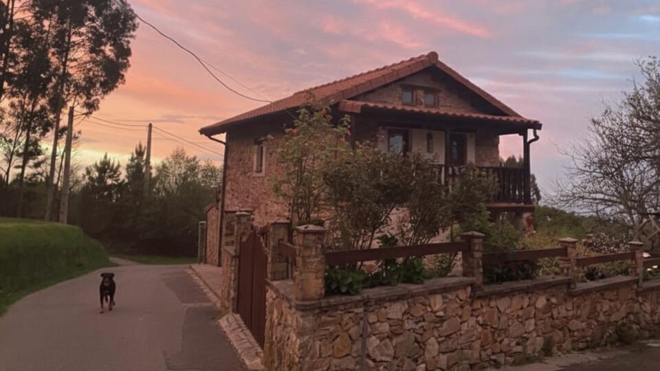 Off site, Pets, Pets, Sunset