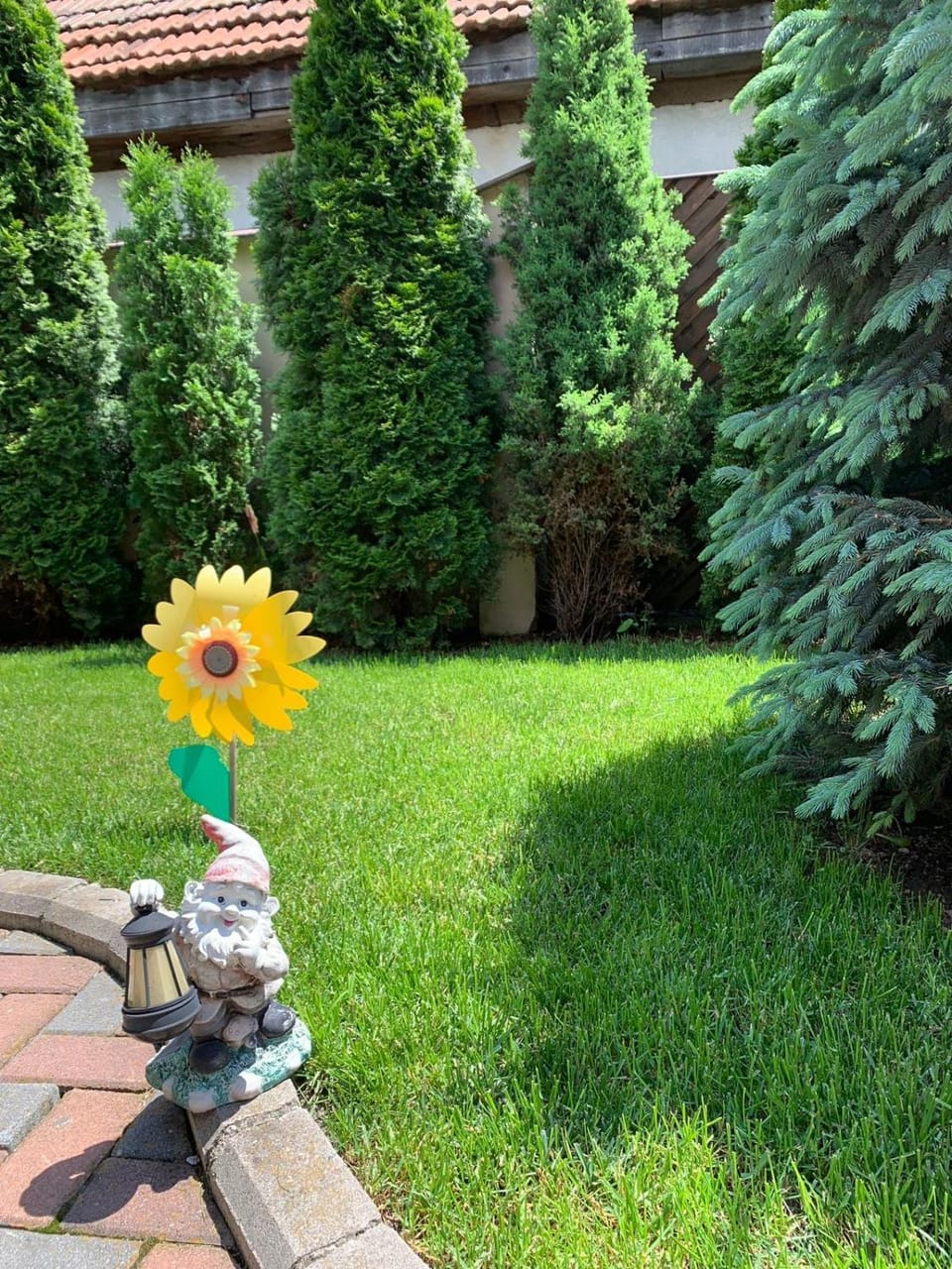 Pensiunea Haiduc Sacele Brasov Bed and Breakfast in Brașov County